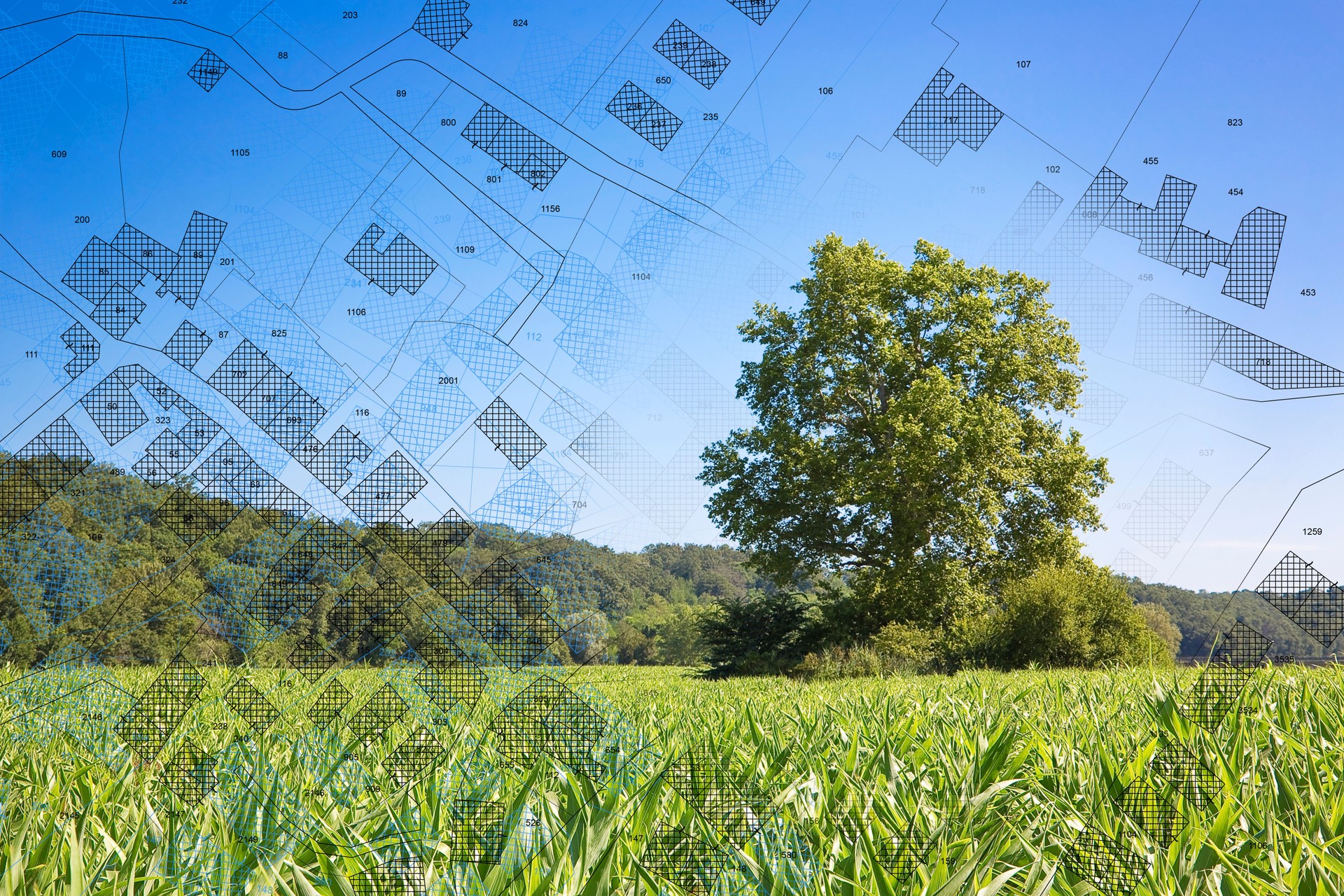 Ruralurban transformation concept with a rural scene, agricultural field, lone tree with imaginary cadastral map